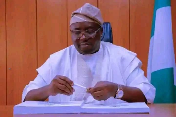 “Soon You’ll Have Light” — Minister Adelabu Assures Nigerians of Uninterrupted Power